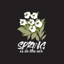 Fresh Spring Bouquet Art - 'Spring is in the Air' 