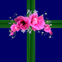 Pink Geraniums Flower Power