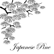 Elegant Japanese Black & White Pine Branch