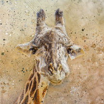 Giraffes Collection - Fine Art