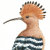 Hoopoe_Designs