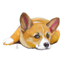 Doggust 2019 Postcards