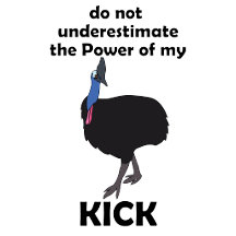 Cassowary Do Not Underestimate Power of My Kick 