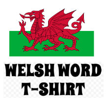 10 Welsh Word 5 T-Shirt