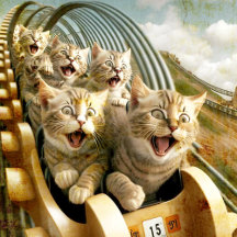 Cats in the amusement park