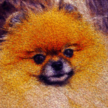 "Cookie Bear" Pooch Collection