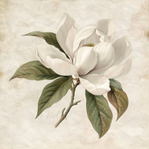 Louisiana Art & Southern Decor