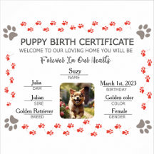 Animals-Furry Tales Keepsake Collection