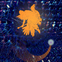 The Cosmos and Beyond