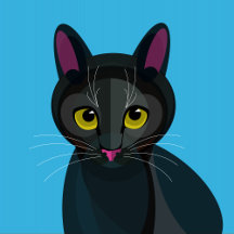 Illustrated cushions