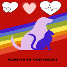 Hemangiosarcoma Awareness & Pet Loss