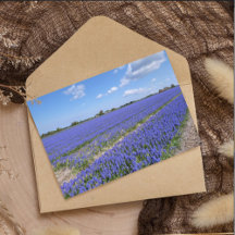 Postcards - Greetings from all over the world 