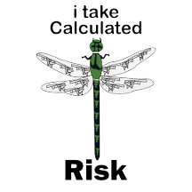 Dragonfly Calculated Risk Taker