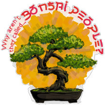 Why aren't they called Bonsai People?