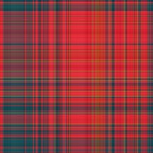 Colorful Plaid and Buffalo Fabric