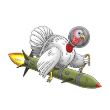 Thanksgiving Rocket Turkey