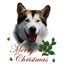 Alaskan Malamute Christmas