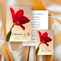 Red Tulip Flower Spring Funeral Memorial