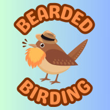 Fab Feathered Fashion