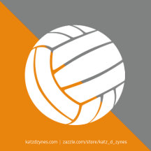 orange and white volleyball team colors