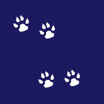 Big Dog Paw Prints