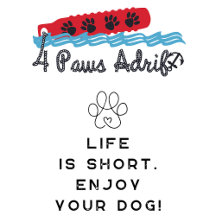 Life is short. Enjoy your dog!