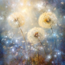 Dandelions and Dandelion Seed Pods
