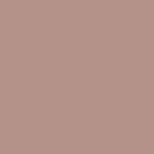 Solid Brown Mauve Color   Hex# B49289