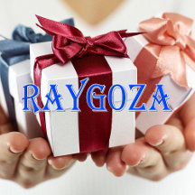 Raygoza_Name T-Shirt