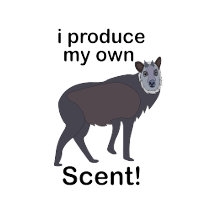 Japanese Serow Funny Animal Lover Gifts