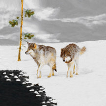 Wolves in Snow Christmas Collection