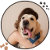 Pets_Nest