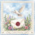 Cards_of_Ministry
