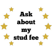 Ask About My Stud Fee Collection