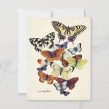 Vintage Garden Butterflies' 