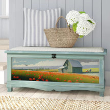 Scenic Designs