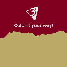 Red and Brown Pillows -Living Room