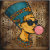 LunaVista_Studio