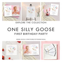 One Silly Goose First Birthday Party