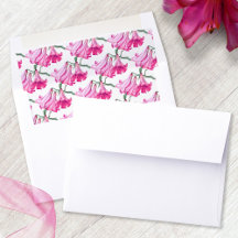 Envelope liners