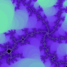 Spiral Waves Fractals