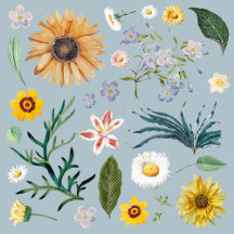 Customizable posters