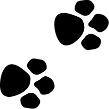 Creative Designs for Every Taste | Alexcreativ