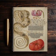 Vintage Notebooks
