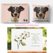 Sympathy: Loss of a Special Person or Pet