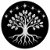 RootsAndWonder
