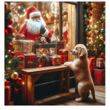 Christmas and Wishes