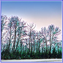 Thank You Cards Collection