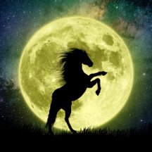 Une Silhouette se Dessine