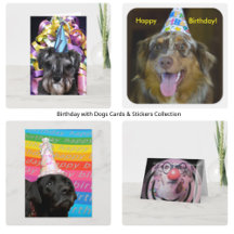 Birthday with Dogs & Cats on Cards & Stickers
